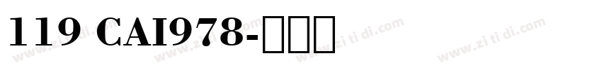 119 CAI978字体转换